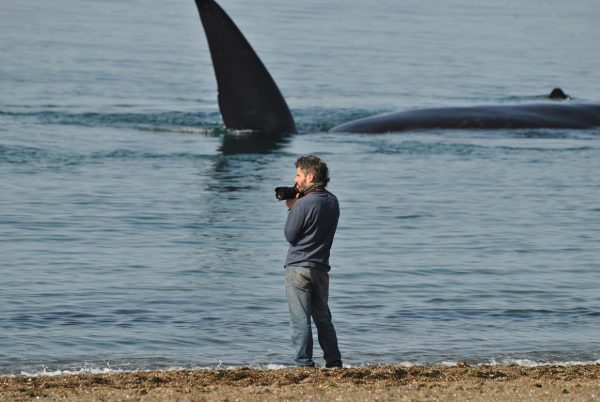 Avistaje de Ballenas en El Doradillo