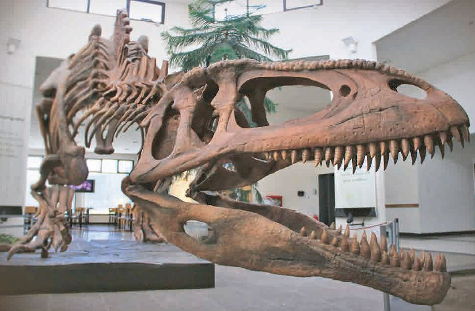 Excursion al museo Paleontologico en Chubut